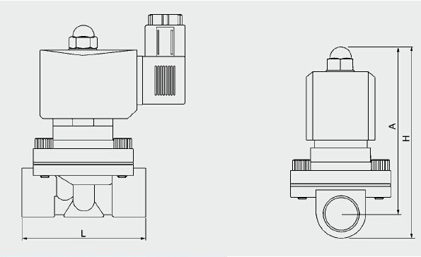 2wb Stainless Steel 2 Inch Water Solenoid Valve 24V 220V