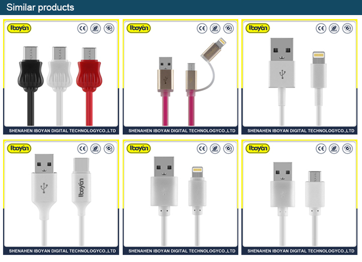 Mobile Phone Accessory Fast Charging USB Data Lightning Cable for iPhone X