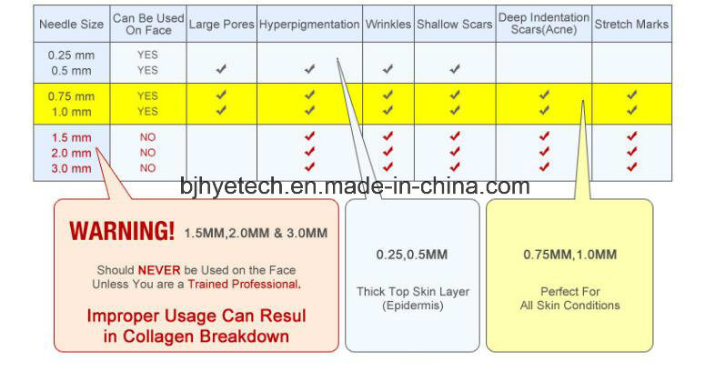 Hot Sale Derma Roller Zgts Face Skin Care Microneedle System Rolling System