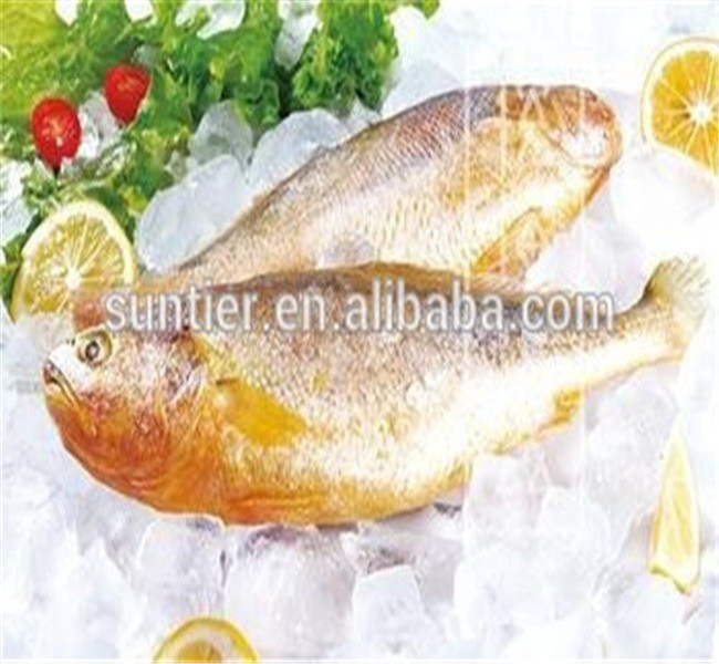 Refrigerator Freezer Flake Ice Machine