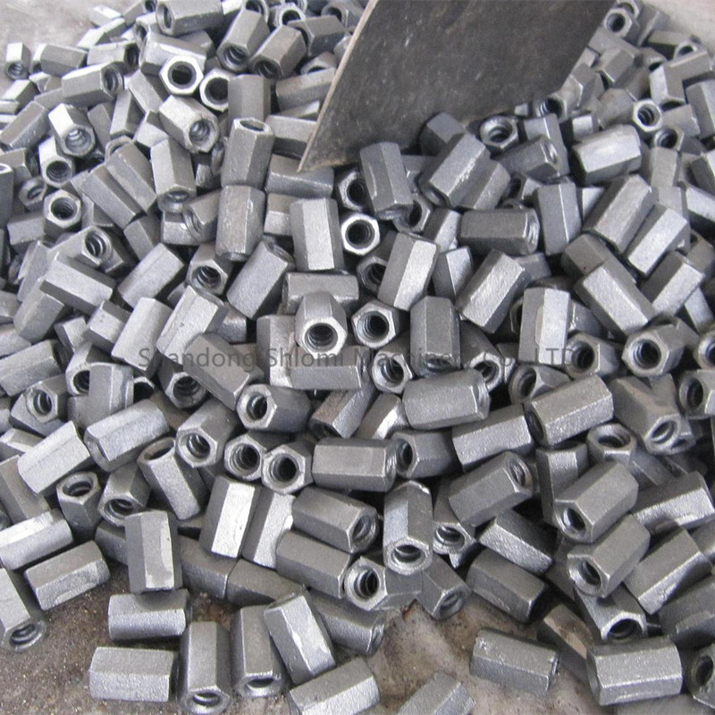 Formwork Tie Bar System Casting Hex Nut /Building Formwork Accessories Galvanized Hex Nuts