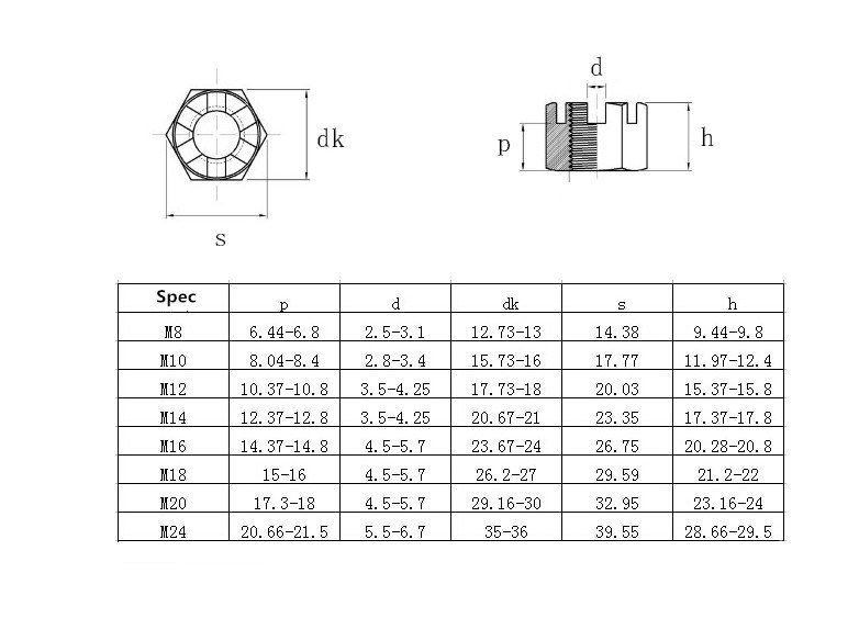 China Suppliers Manufacture Hexagon Slotted Nut and Castle Nuts