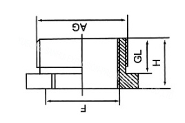 Stainless Steel Hex Plug (Threaded pipe fittings)