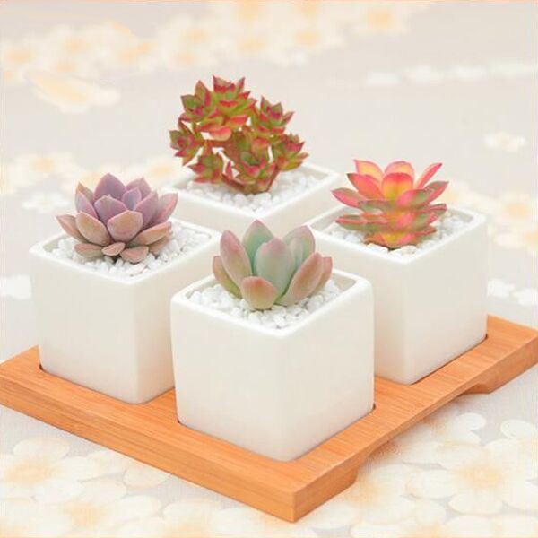 Four Combination Square Ceramic Flower Succulent Pot with Bamboo Stand