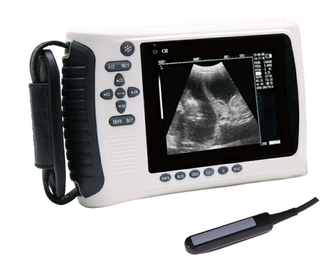 Handheld Veterinary Vet Ultrasound Scanner with Sector Probe