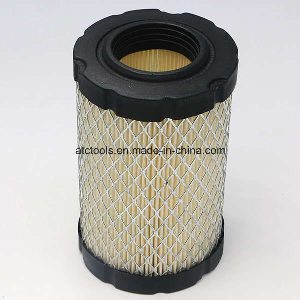 Briggs 793569 796031 John Deere Gy21055 Air Filter