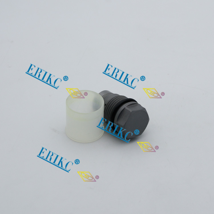 Erikc 1110011155 Injector Spare Part Pressure Regulator Valve 1 110 011 155 Pressure Relief Valve for KIA Man Khd Renault Iveco