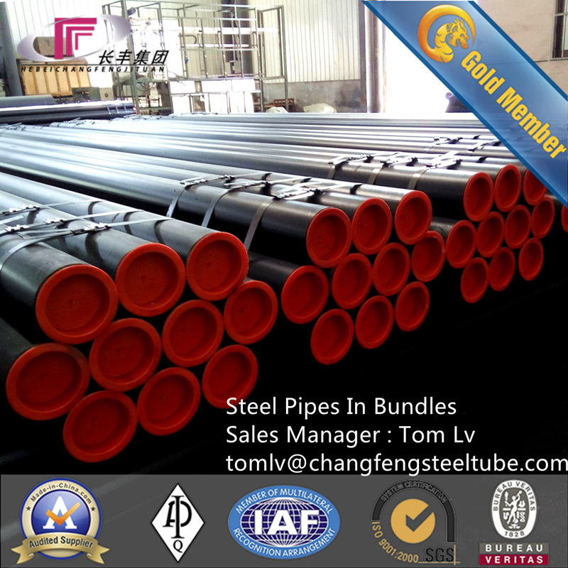 Hot Rolled Mild Steel Square Hollow Sections Weld Pipe