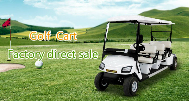 Zhongyi Mini 2 Seater Electric Golf Cart with Rear Bucket