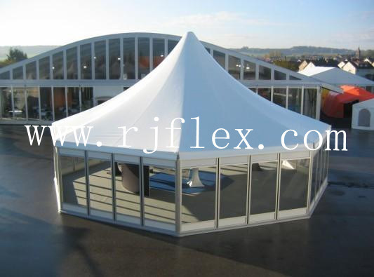 Luxury Geodesic Dome Tent with Clear PVC Fabric and Steel Pipes