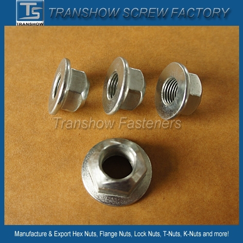 Prevailing Torque Self Locking Hex Nut