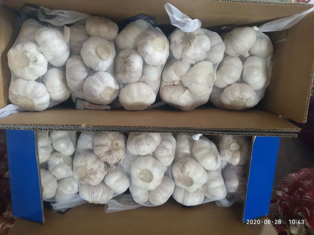 Ail frais chinois de qualité supérieure sur le marché européen
