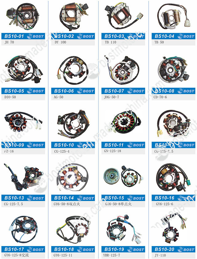 Magneto Coi Stator Comp for Motorcycle Re-205 Engine