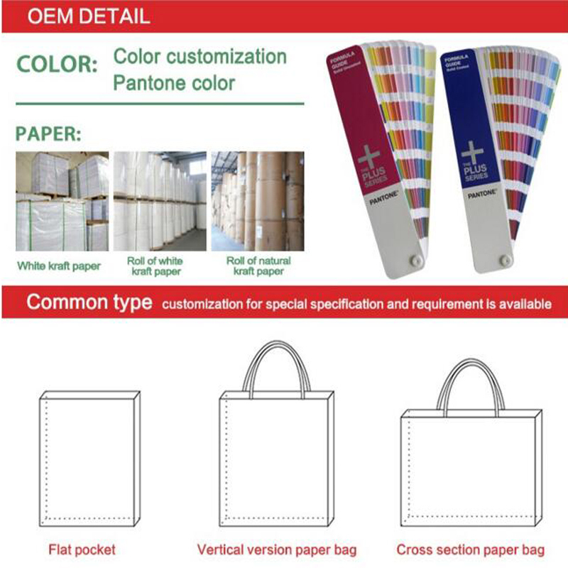 Art Paper Shopping Bag Design Printed for Packaging