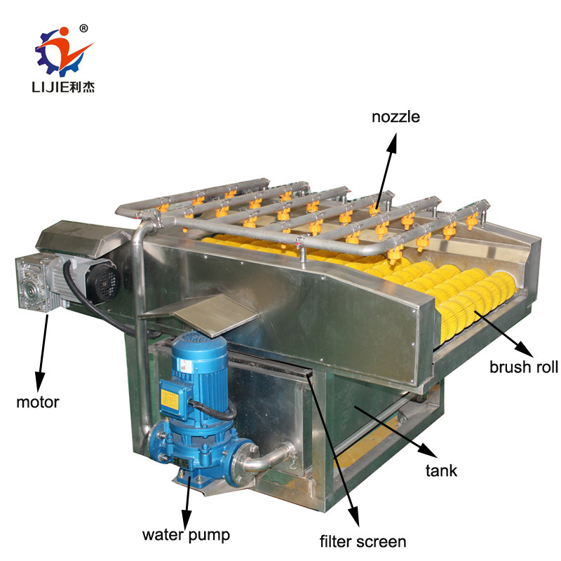 Stainless Steel Leaf Vegetable Washing Machine and Celery Washer with Ce Approved