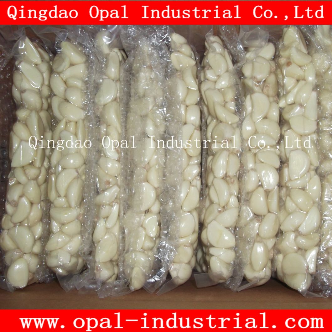 Chinese Fresh Peeled Vacuum Garlic Clove Best Price 4