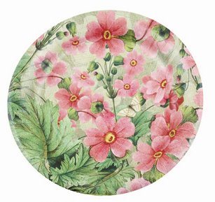 High Quality Custom Printed Disposable Paper Plates
