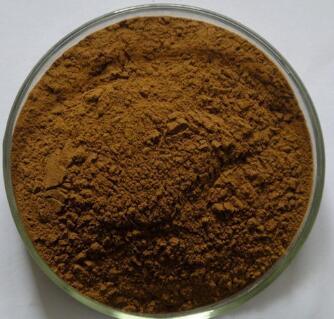 Factory Hot Sales Black Tea Extract with Long-Term Technical Support