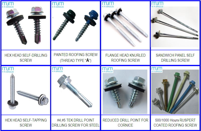 Pan Framing Head Drywall Screw with Tek Point