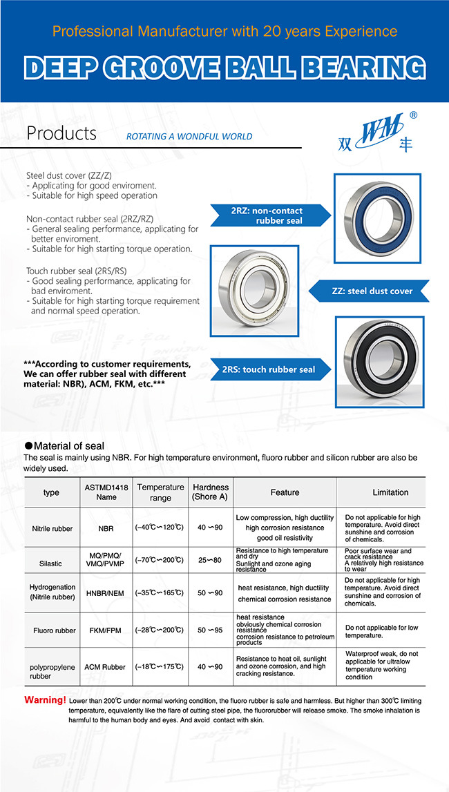 6202 High Temperature High Speed Hybrid Ceramic Ball Bearing