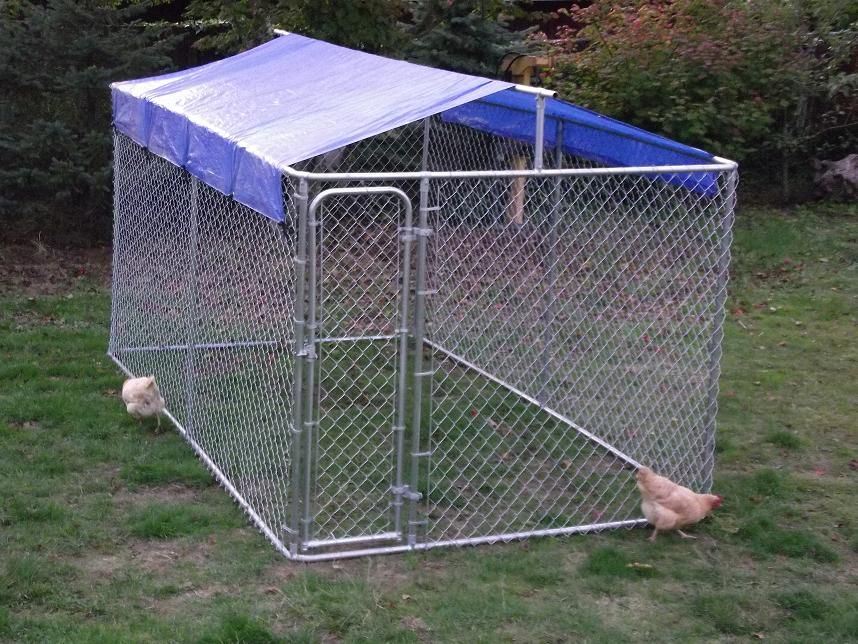 Hot Sale Galvanized Dog Kennel with Roof (XMM-DK)