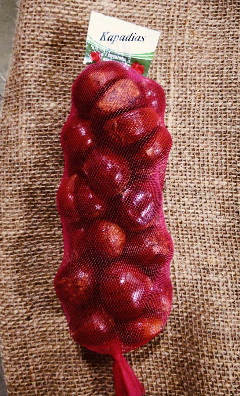 Fresh Chestnut
