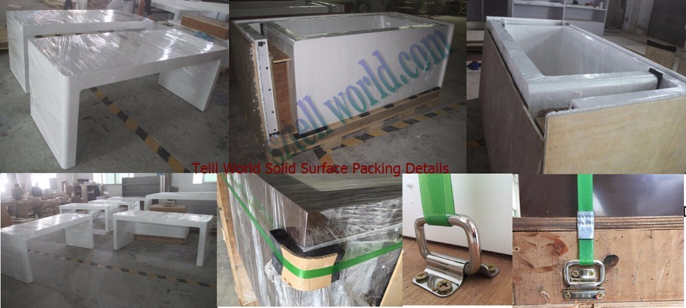 Tw Modern Design Commercial Office Conference Table (TW-033)