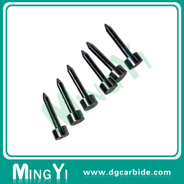 New Product Piercing Carbide Pilot Punch with Sharp Head