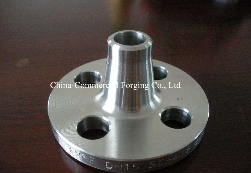 Manufacturer Forging Weld Neck Flange Pn16 Stainless Steel Pipe Flanges