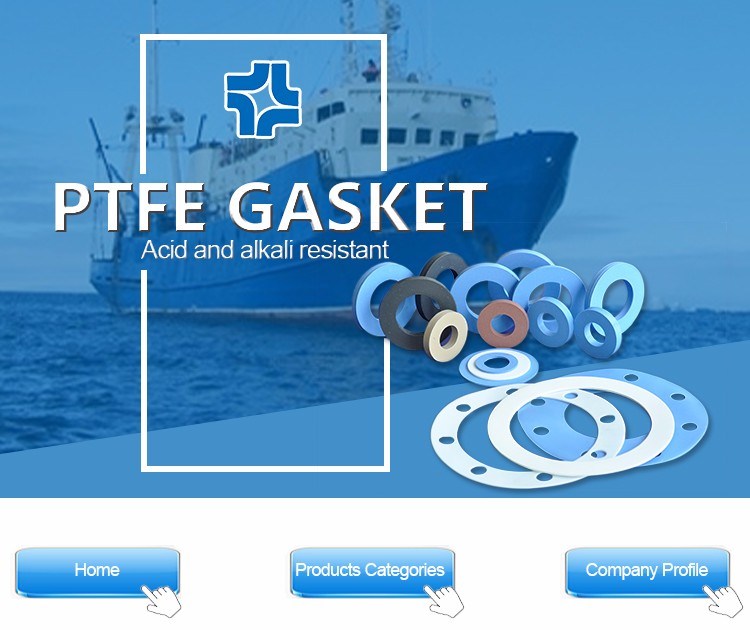 Hot Selling PTFE Gasket with High Quality