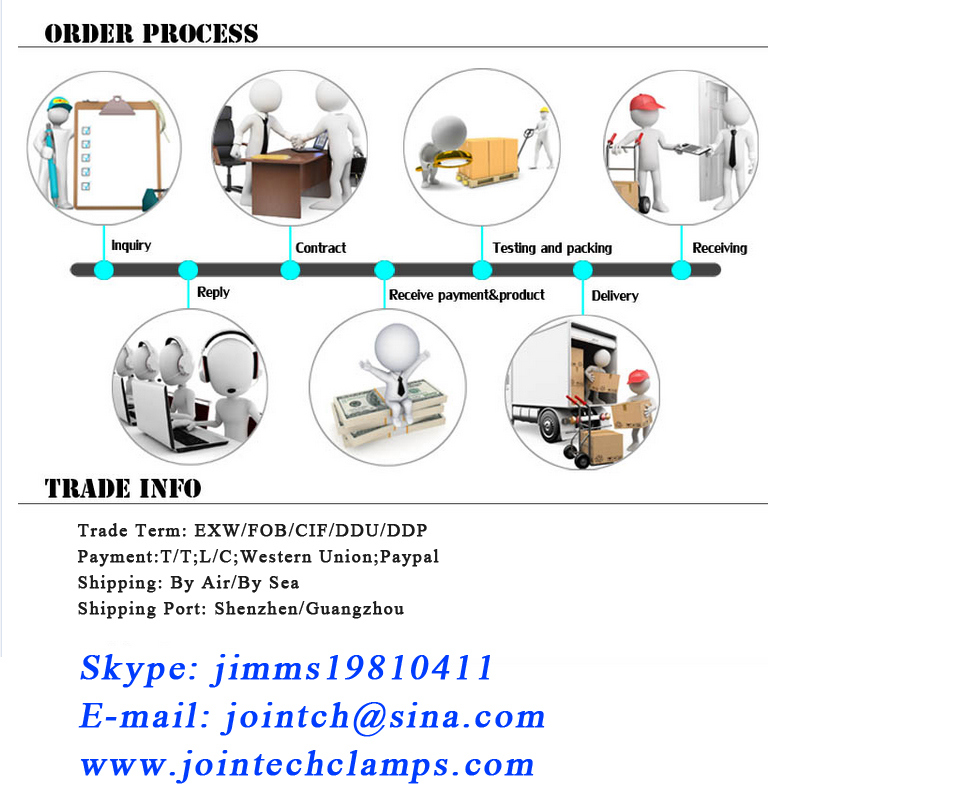 OEM and ODM Steel Good Quality Toggle Hook Clip