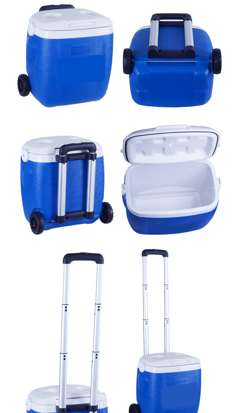 Best Quality Mini Trolley Cheap Cooler Bag for Outdoor Sports