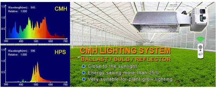 UL Ce Approved 1000W CMH Double Ended Grow Light with High Quality Low Frequency Digital Ballast