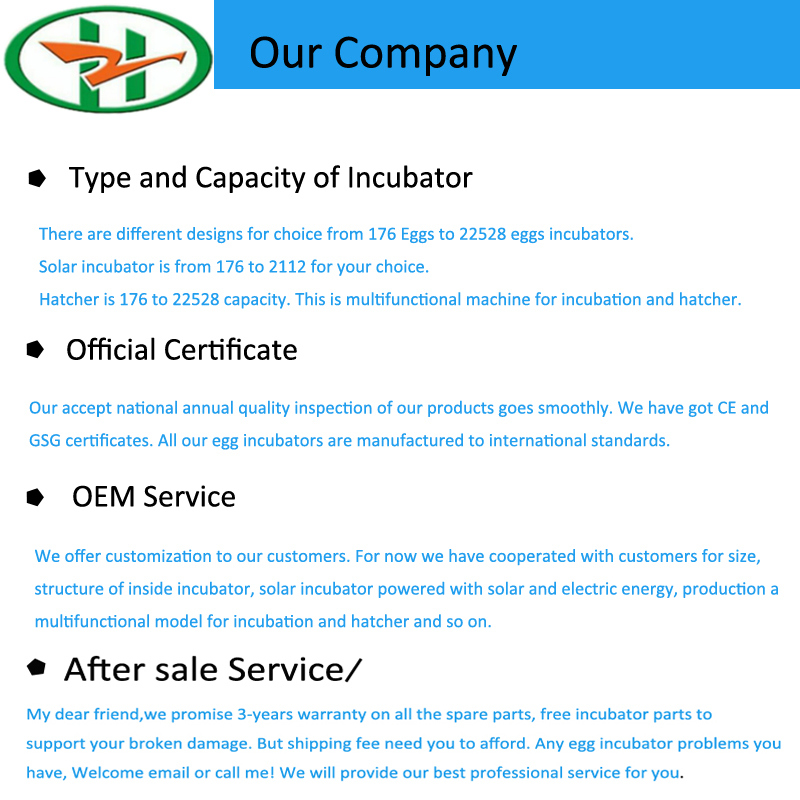 Super Solar Energy Microcomputer Parrot Egg Incubator Equipment