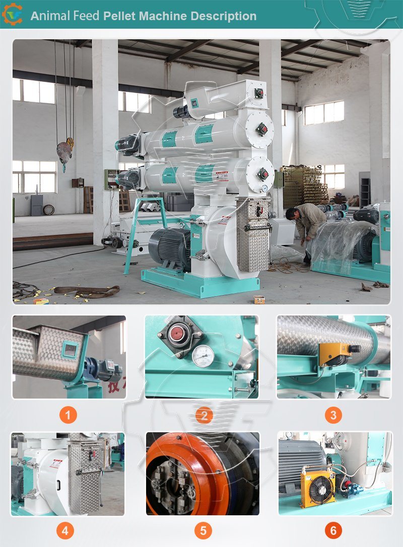 Poultry/Chicken/Cattle Feed Pellet Making Machine Pelletizer