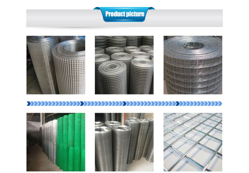 PVC Coated / Galvanized Fence/Welded Wire Mesh for Security