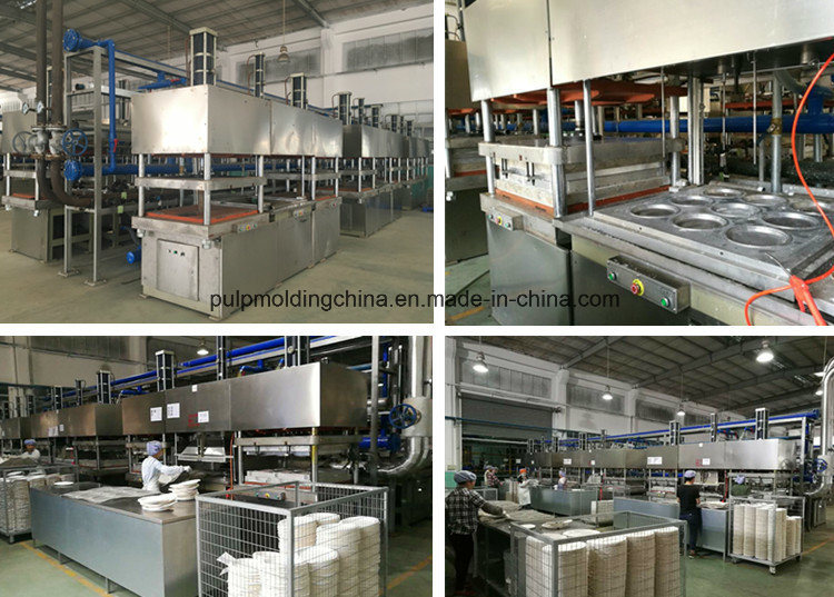 Hghy Good Price Automatic Disposable Sugarcane Paper Pulp Plate Making Machine