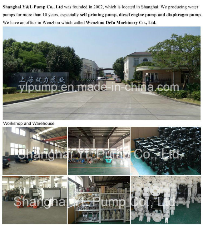 Self Priming Diesel Motor Centrifugal Oil Pump for Chemical