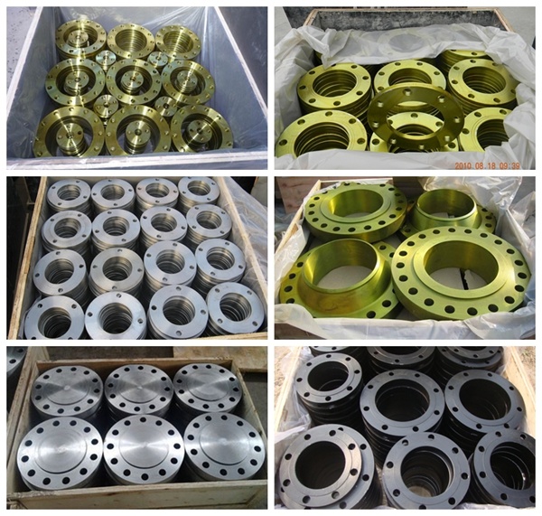 ASTM A350 Lf1/Lf2 Cl150 RF Alloy Steel Flanges