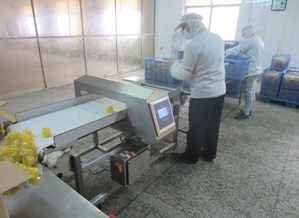 Automatic Weight Grading System Machine