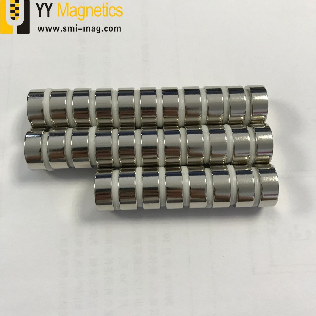 Disc Magnet Neodymium Cylinder Rare Earth Magnets