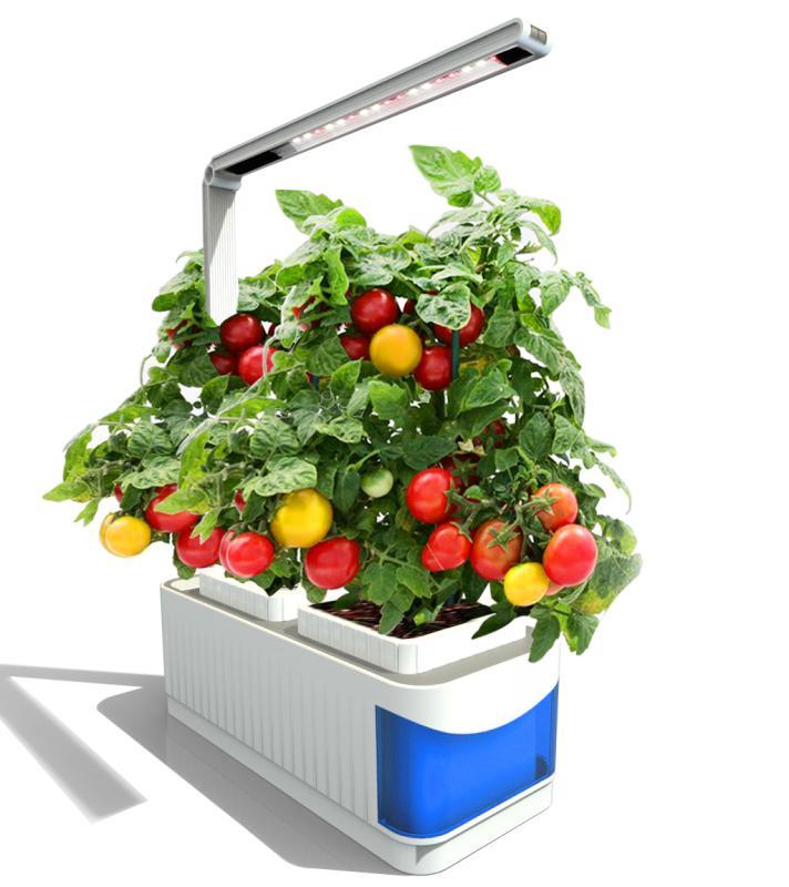 Hydroponic Smart Garden Plant Grow Light 10W LED Desk Table Light