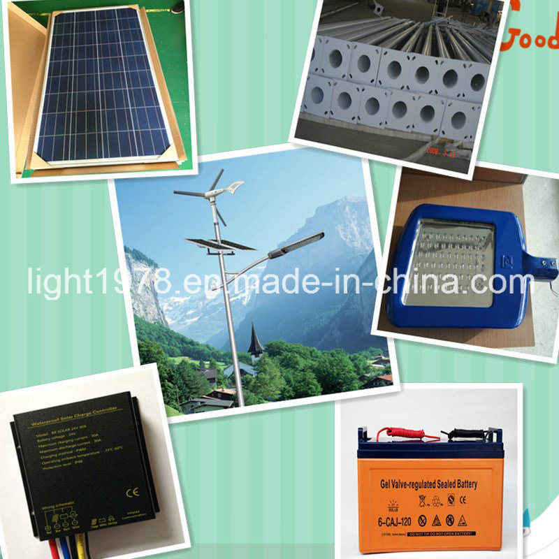 China Top Pure White 15W to 120W Wind Solar Hybrid Street Lights