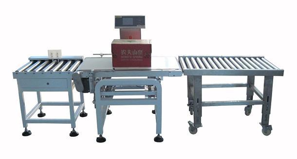 Stainless Steel Weighing Belt Scale