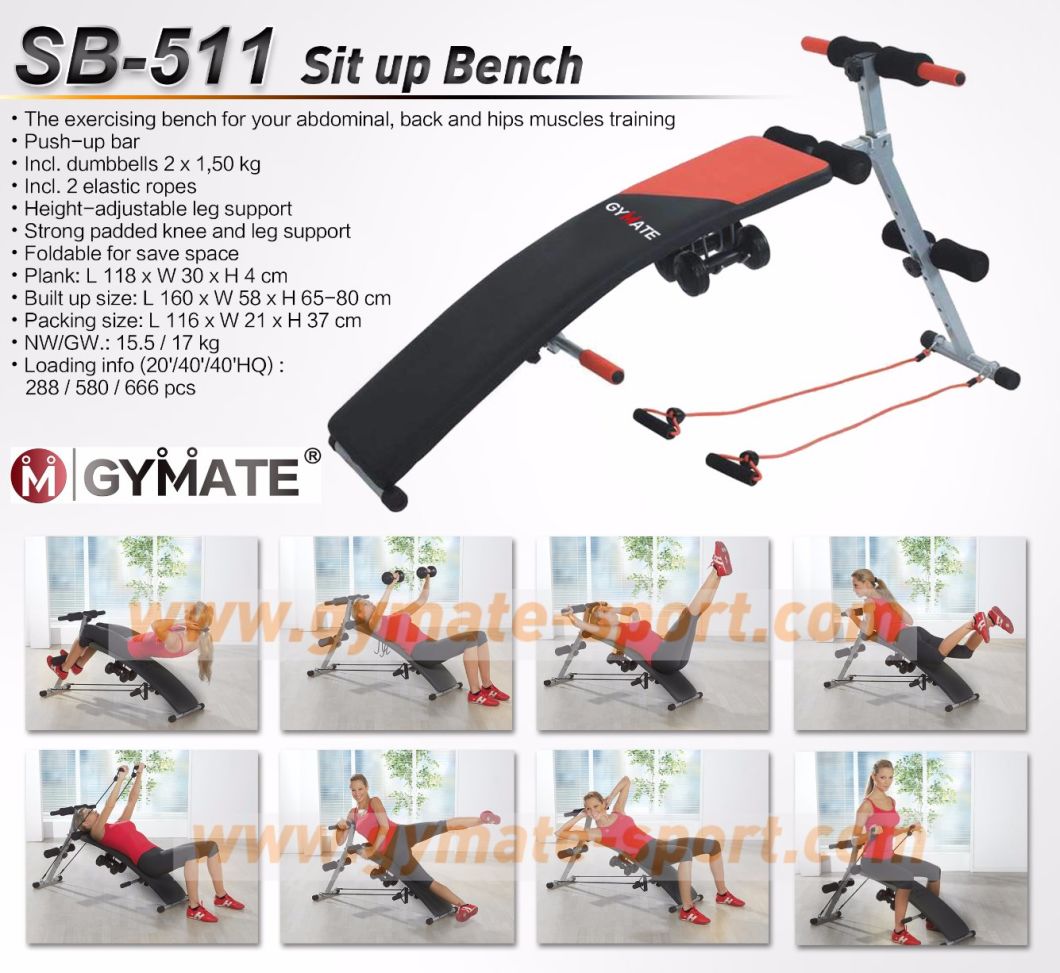 Abdominal Sit up Bench with Dumbbells Weight Fitness Bench Training Ab Exerciser