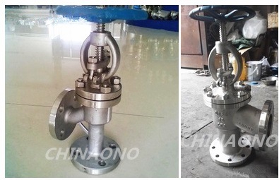 Stainless Steel Angle Type Globe Valve