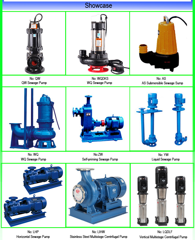 Cast Iron Inline Sewage Pump for Industry Water Treatment