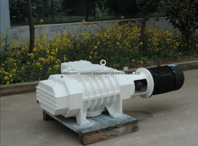 Chemical Industrial Vacuum Coating Roots Type Blower