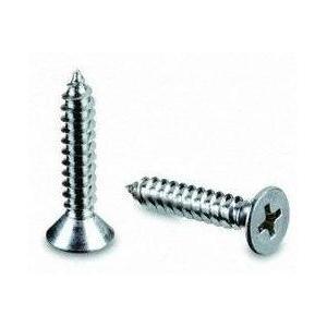 Plain Bugle Head Drywall Screws/Phillip Fine/Coarse Thread Screw