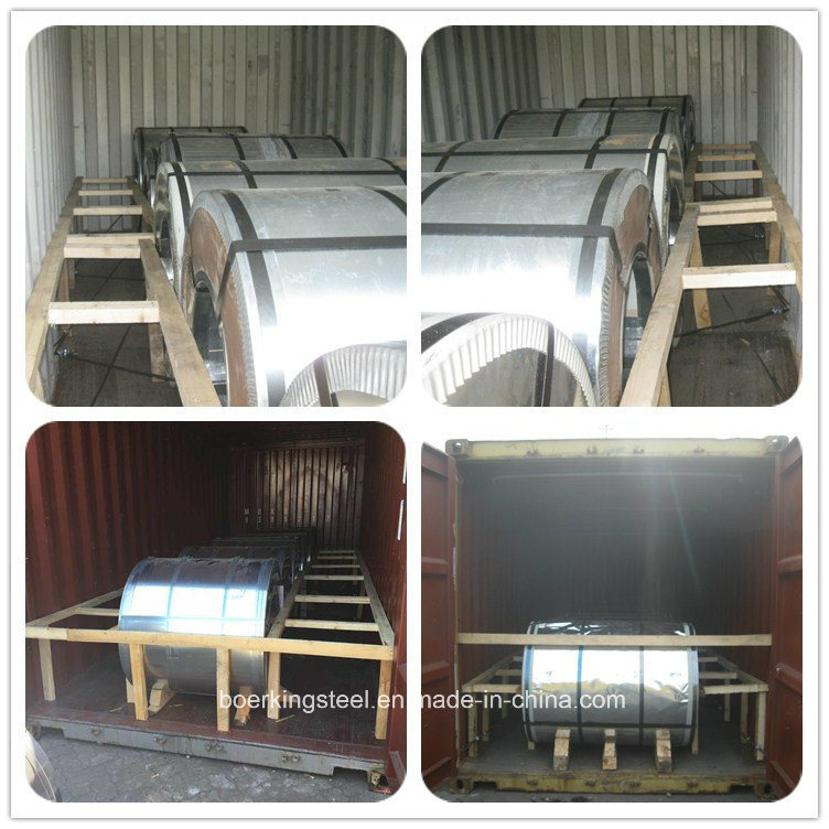 Galvanized Steel Coil and Strip with Regular Spangle